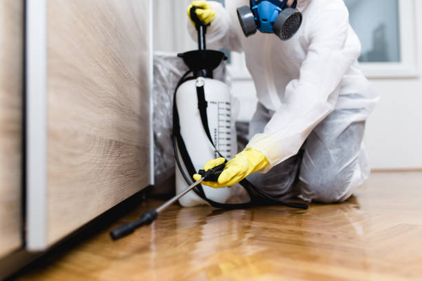 Best Insect Control  in Madison, OH