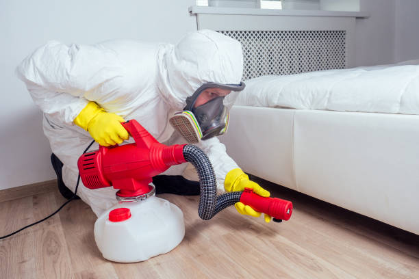 Best Affordable Pest Control Services  in Madison, OH