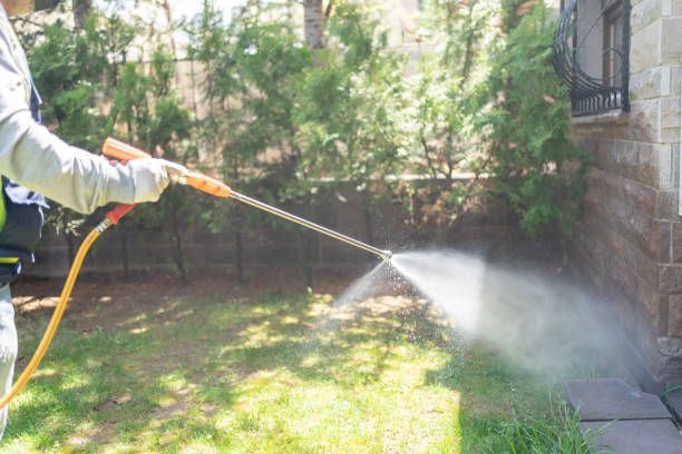 Best Cockroach Control Services  in Madison, OH