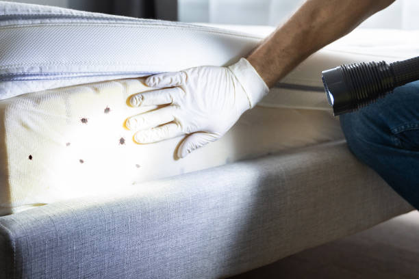 Best Mosquito Control Services  in Madison, OH