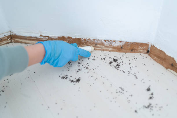 Trusted Madison, OH Pest Control Experts